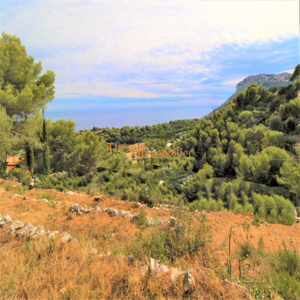 Offres de vente Terrain Beausoleil 06240